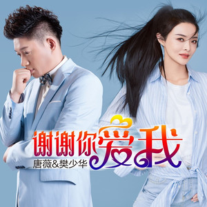 谢谢你爱我 (DJ伟然版)