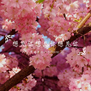 想见你想见你想见你（cover: 青春有你2 训练生）（翻自 八三夭）