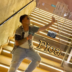 Pica (feat. Trishulbeatz)