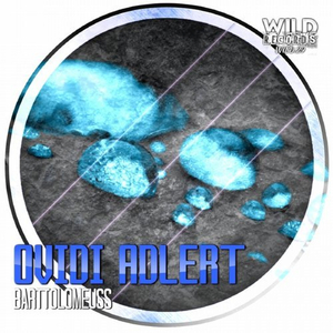 Barttolomeuss (Original Mix)