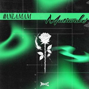 Anlamam (feat. Louxyh)