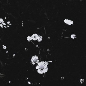 孤独的电影院（pord by lv9）