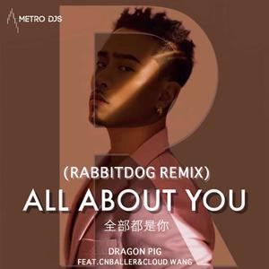Dragon pig / cnballer / cloud wang - 我的眼里都是你(Rabbitdog remix)