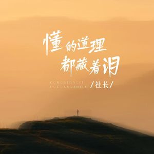 懂的道理都藏着泪