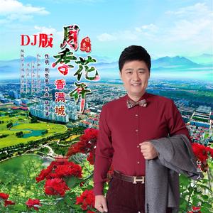 月季花开香满城(DJ伴奏版)