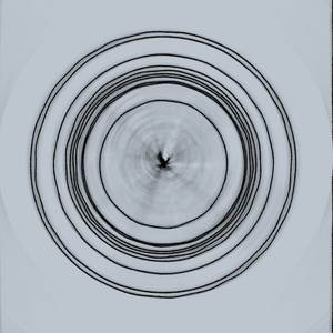 Bifurcation
