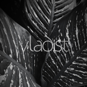 Wangle (Slowed x Reverb)