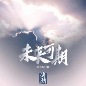 未来可期Remix