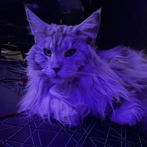 别烂在过去的回忆里