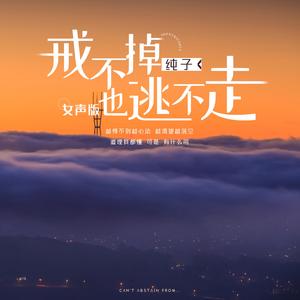 戒不掉也逃不走-女声版（精华版）