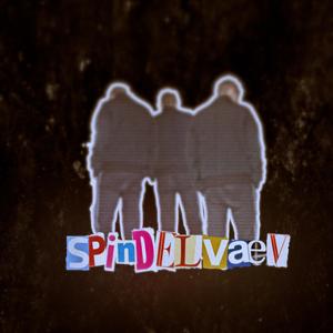 SPINDELVÆV