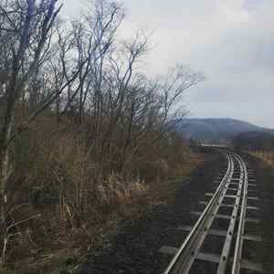 一醉一神仙（翻自 伦桑）
