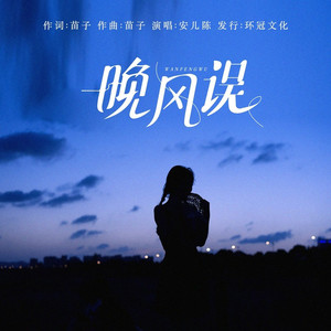 晚风误 (DJ彭锐版)