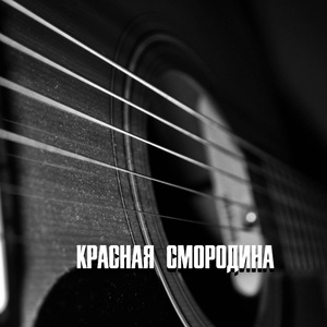 КРАСНАЯ СМОРОДИНА