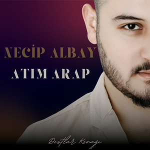 Atım Arap (Dostlar Konağı)