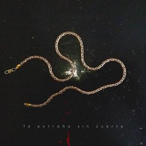 Te Extraño Sin Suerte