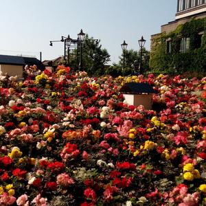 fhána - Relief（双声道版）（蜜蜂雞 remix）