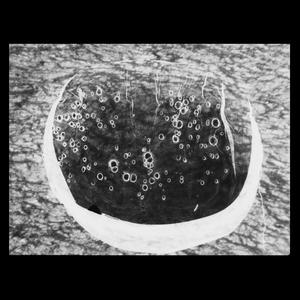 How Long Does it Take?