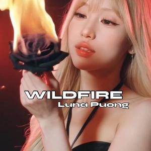 Wildfire