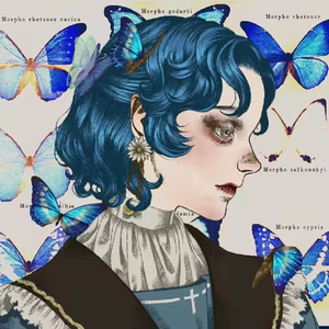 【FREE】克莱因蓝