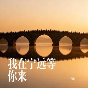 我在宁远等你来