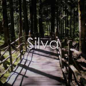 Silva (Original Mix)