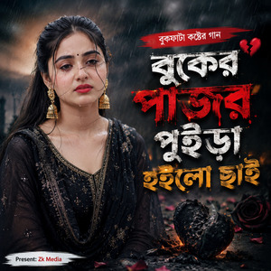বুকের পাজর পুইড়া হইলো ছাই