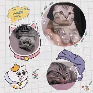 落空（prog remix）