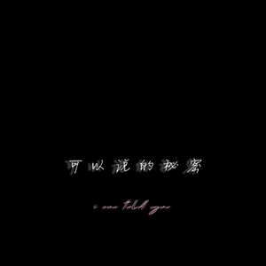 可以说的秘密