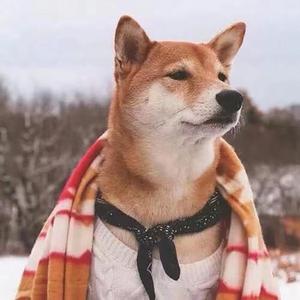 那就这样吧(1)（翻自 季风）