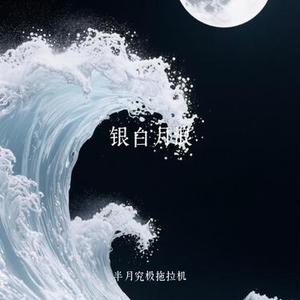 银白月浪