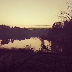 放弃了梦想_56312888187859456_1774413152845.mp3