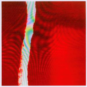 in the middle of a forest