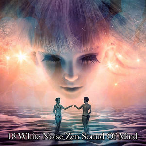 噪音中的一些平静