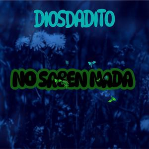 NO SABEN NADA