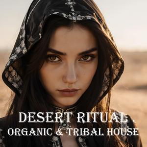 Noct (feat. Mashreq Melodies) (Original Mix)