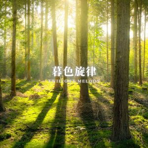 星夜之河 (音乐的邂逅)