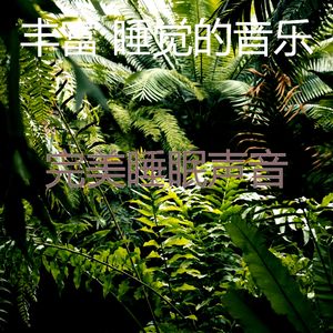 一尘不染小憩印象数