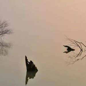 【FREE BEAT】戒严(prod.Young Hitz&Trippinz)