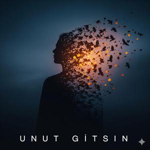Unut Gitsin