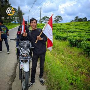 BURUNG OCIK DIMAKAN KUCING