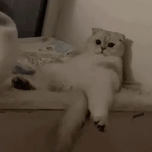 时钟静止了星空