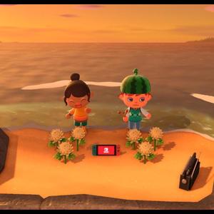 Animal Crossing ! ⋆˚˖°(•ᴗ•✿)⋆˚˖°