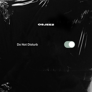 Do Not Disturb