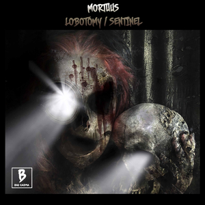 Sentinel (Original Mix)