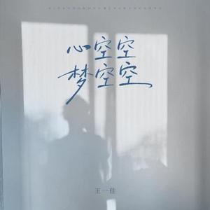 心空空梦空空 (DJ版)