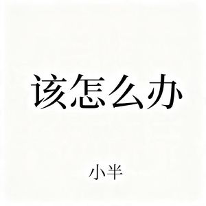 该怎么办