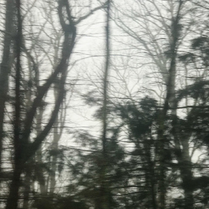 Baguettes (feat. Praiiformoses)