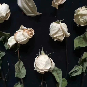 Baby,if you don’t leave