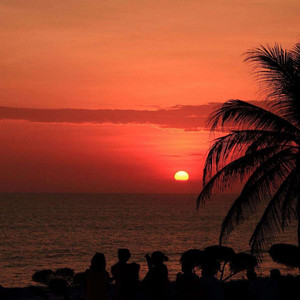 あなたの心への道